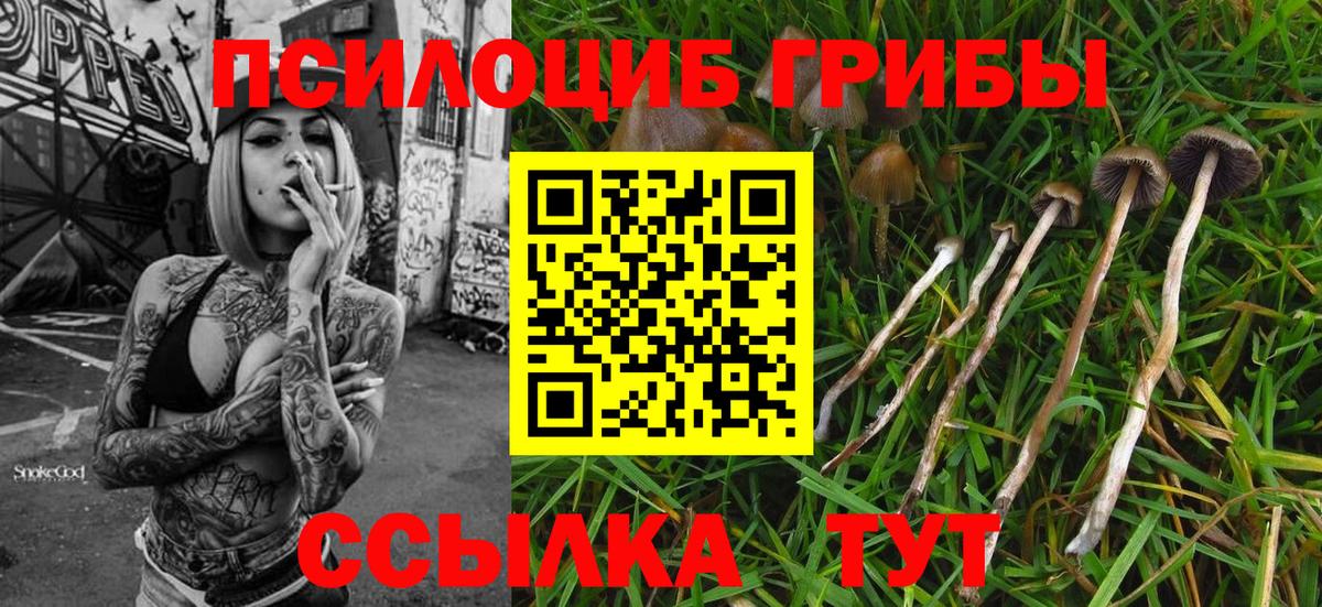 Псилоцибиновые грибы мухоморы Зерноград